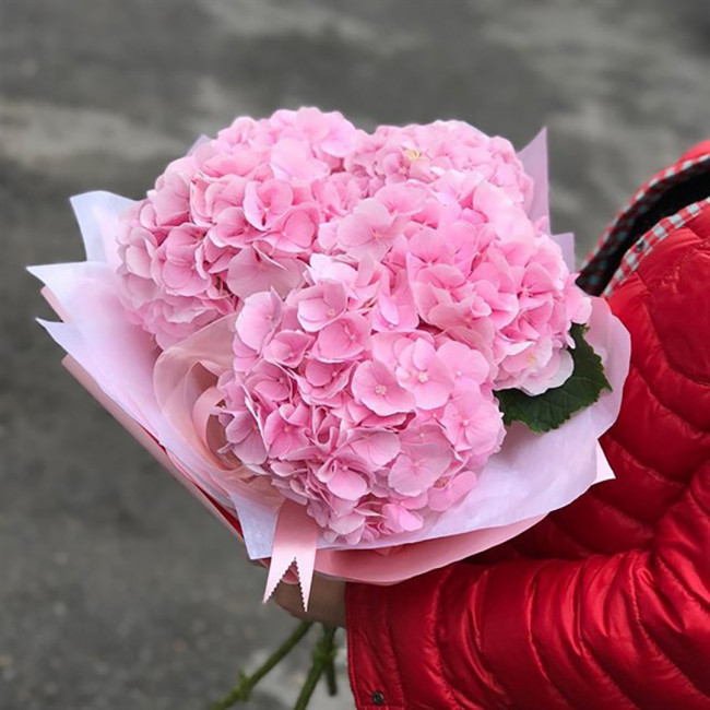 Букет цветов "Розовые гортензии " Букет цветов "Розовые гортензии "